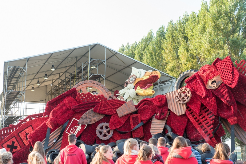 Bedreigd, Foto Luzanne Foesenek