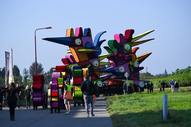 Vreemde Vogels, , Foto Jarno Romme