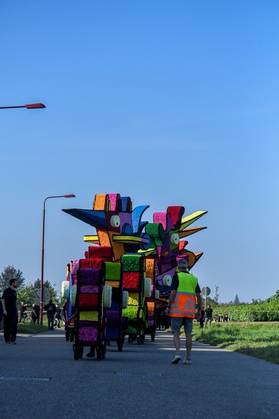 Vreemde Vogels, , Foto Jarno Romme
