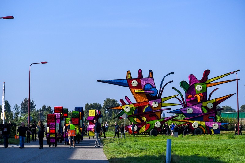 Vreemde Vogels, , Foto Jarno Romme
