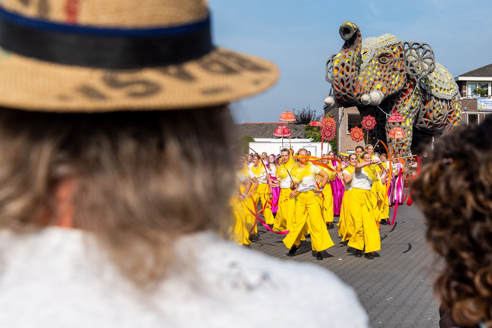 Holifant, Foto Jose Nuyts