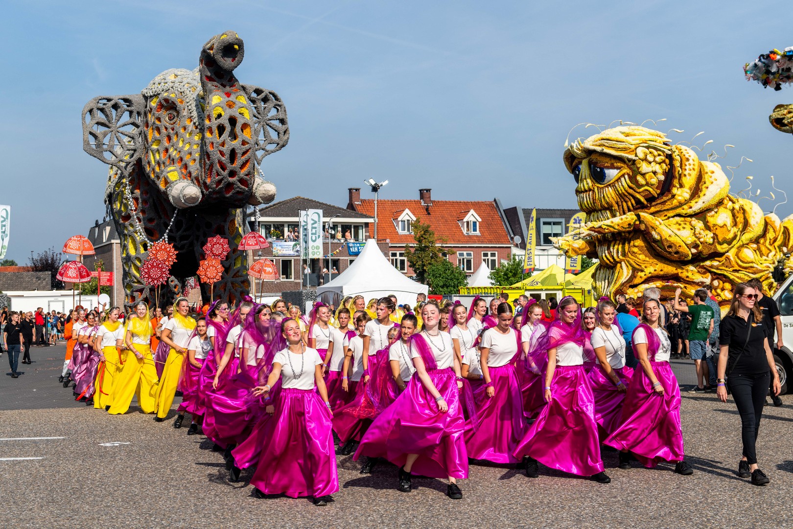 Holifant, Foto Jose Nuyts