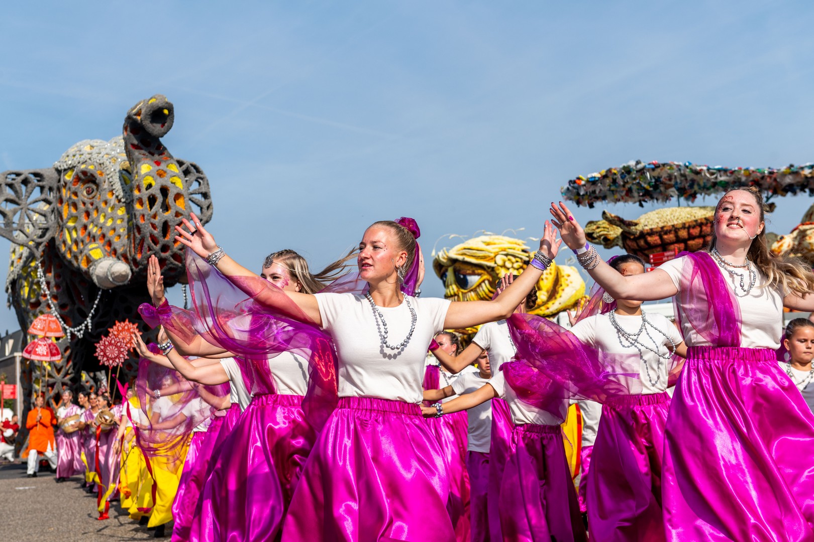 Holifant, Foto Jose Nuyts