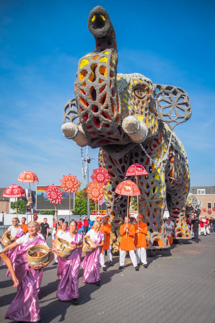 Holifant, Foto Charles van Campenhout