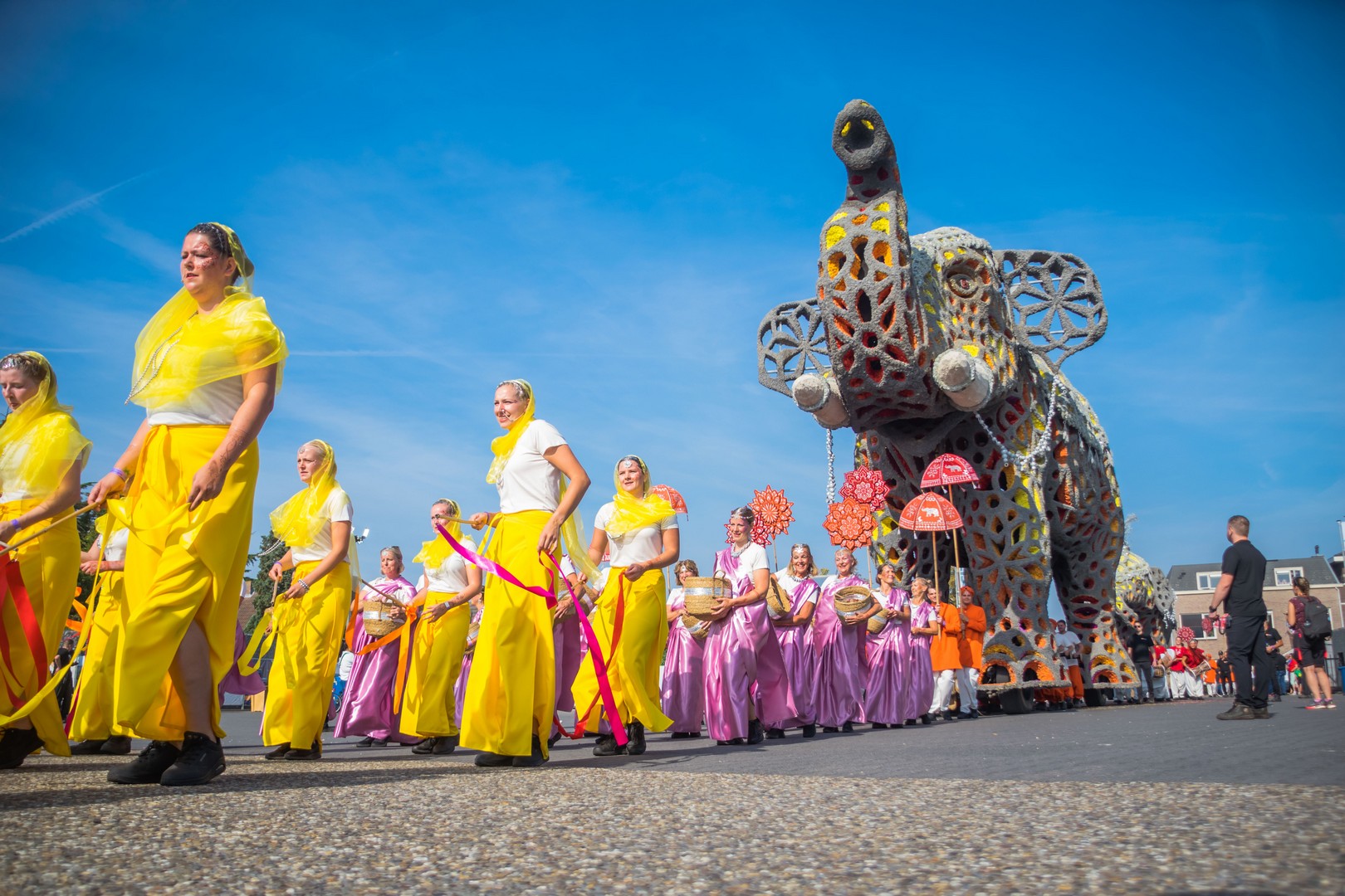 Holifant, Foto Charles van Campenhout