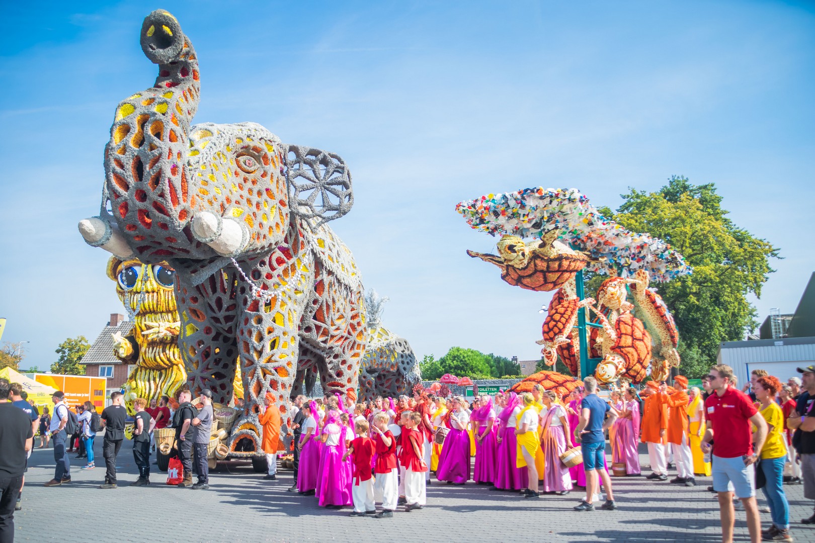 Holifant, Foto Charles van Campenhout
