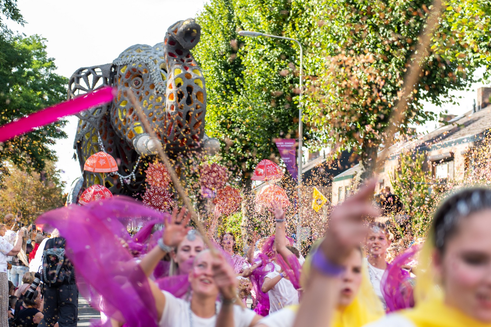 Holifant, Foto Jose Nuyts
