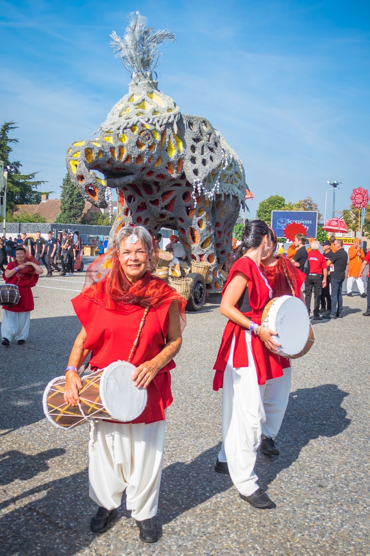 Holifant, Foto Charles van Campenhout