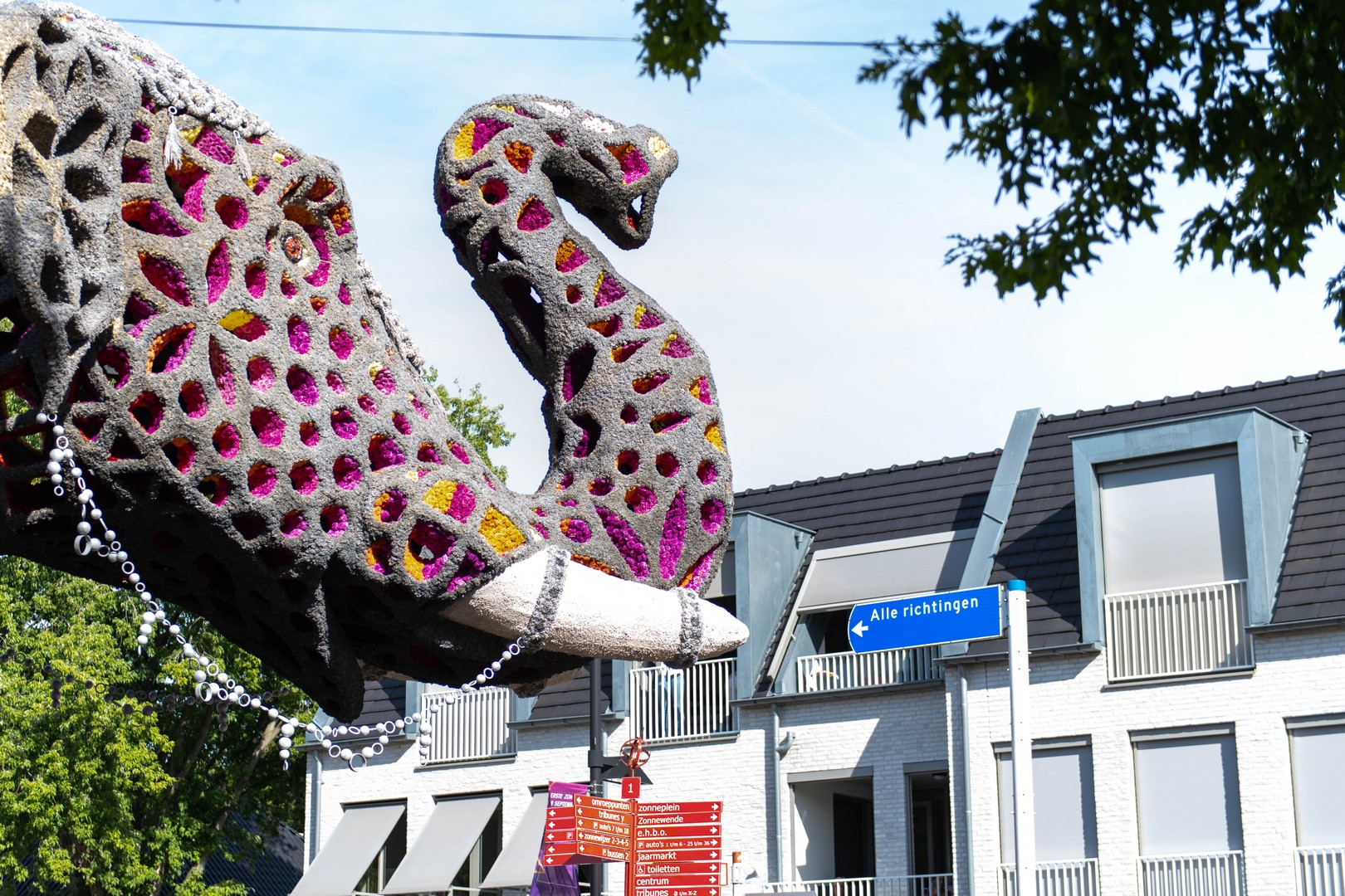 Holifant, Foto Jose Nuyts