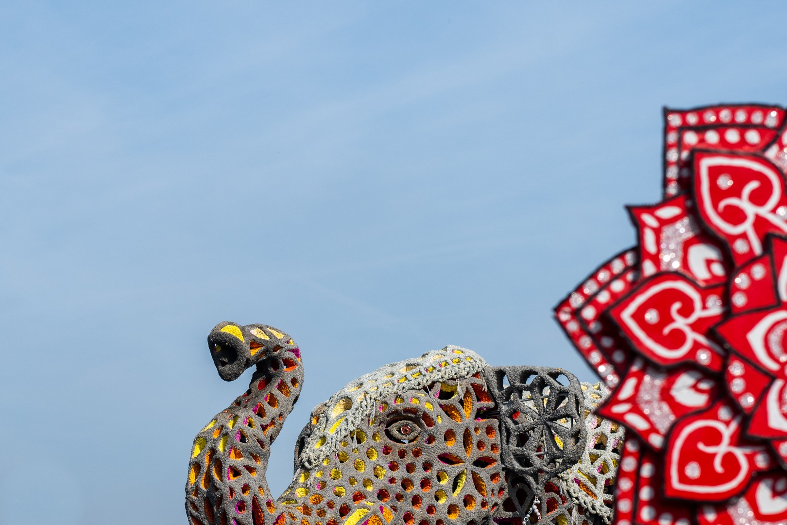 Holifant, Foto Jose Nuyts