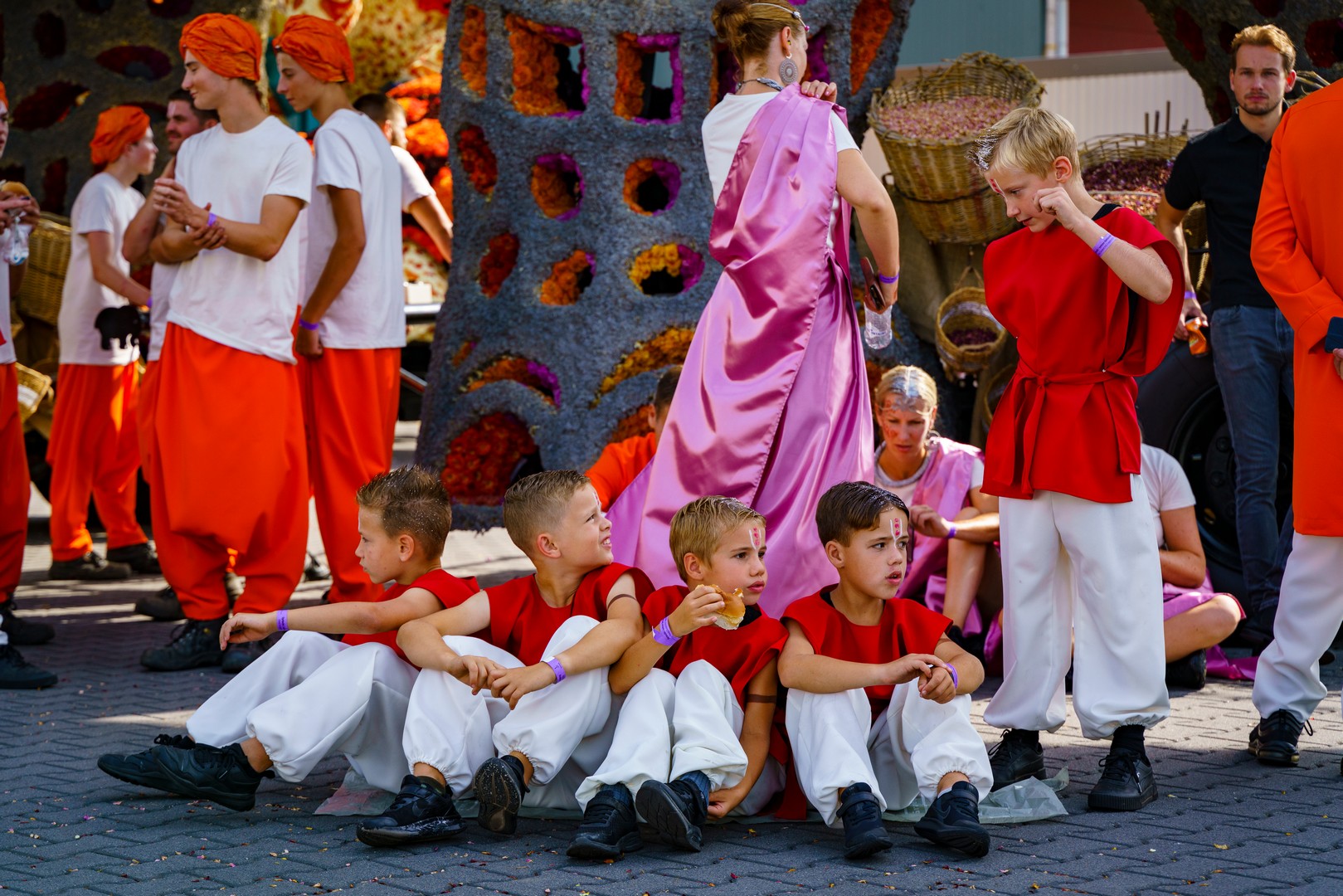 Holifant, Foto Eefje Poppe