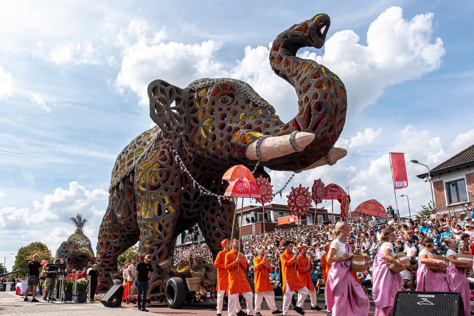 Holifant, Foto Luzanne foesenek