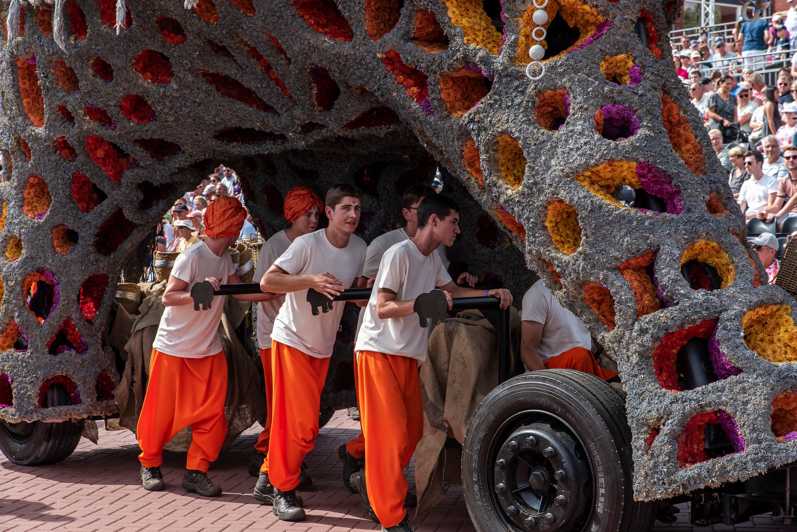 Holifant, Foto Luzanne foesenek