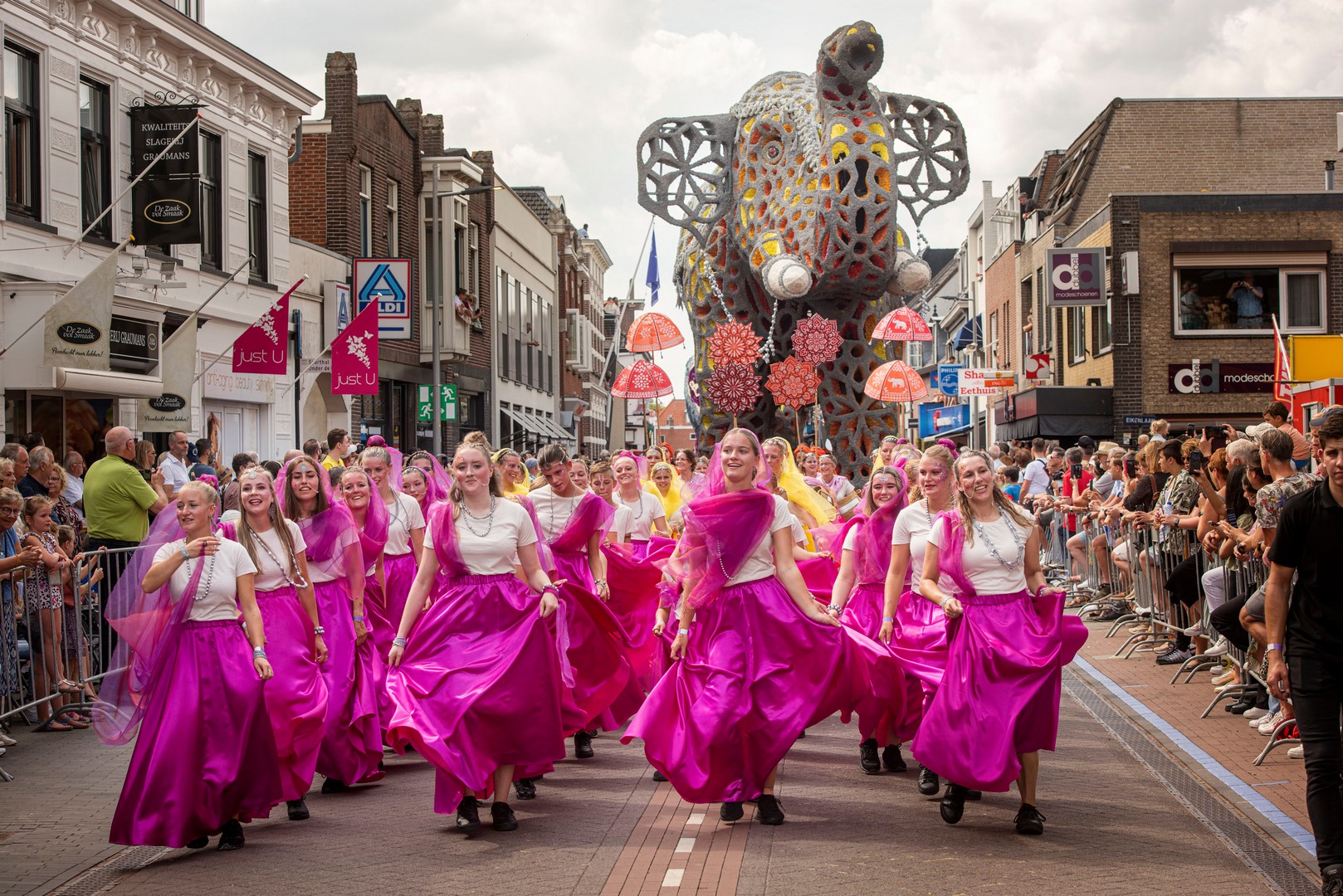 Holifant, Foto Edwin Wiekens