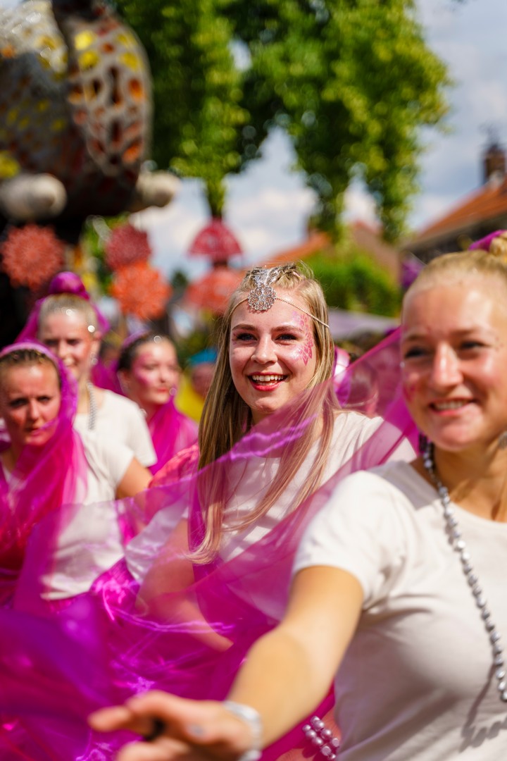 Holifant, Foto Eefje Poppe