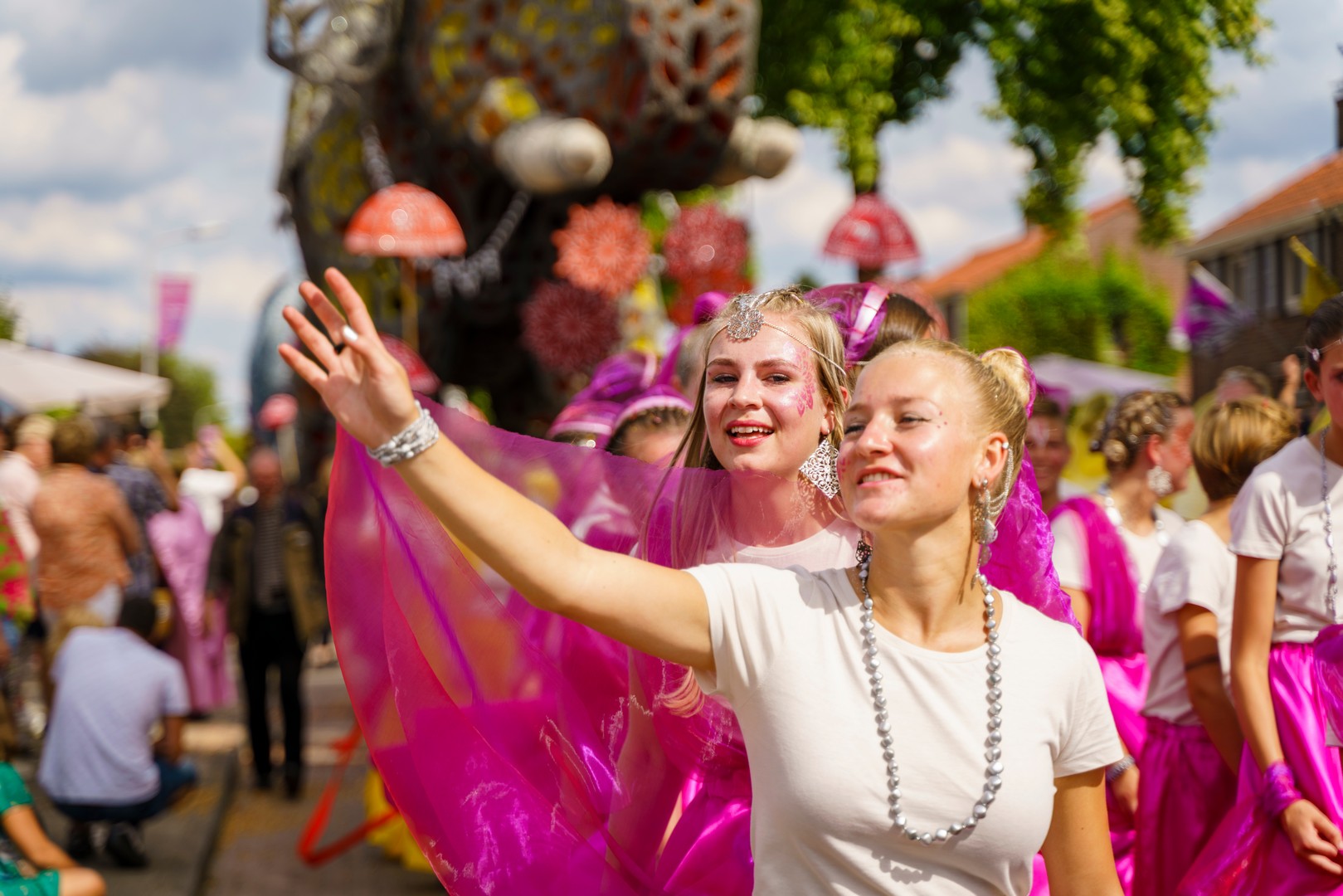 Holifant, Foto Eefje Poppe