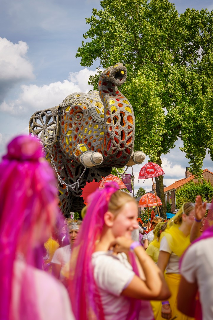 Holifant, Foto Eefje Poppe
