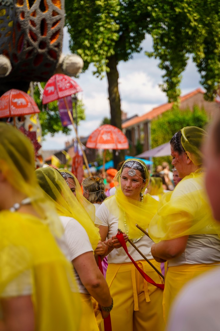Holifant, Foto Eefje Poppe