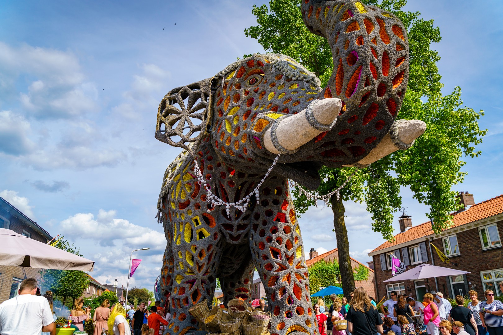 Holifant, Foto Eefje Poppe