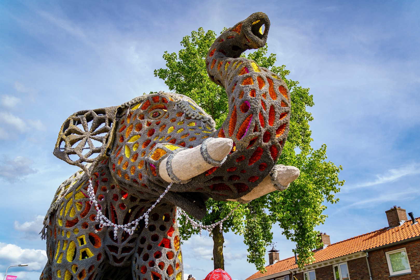 Holifant, Foto Eefje Poppe