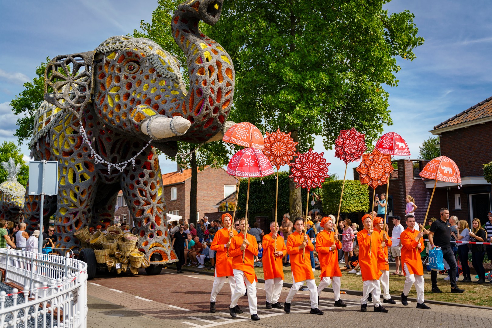 Holifant, Foto Eefje Poppe