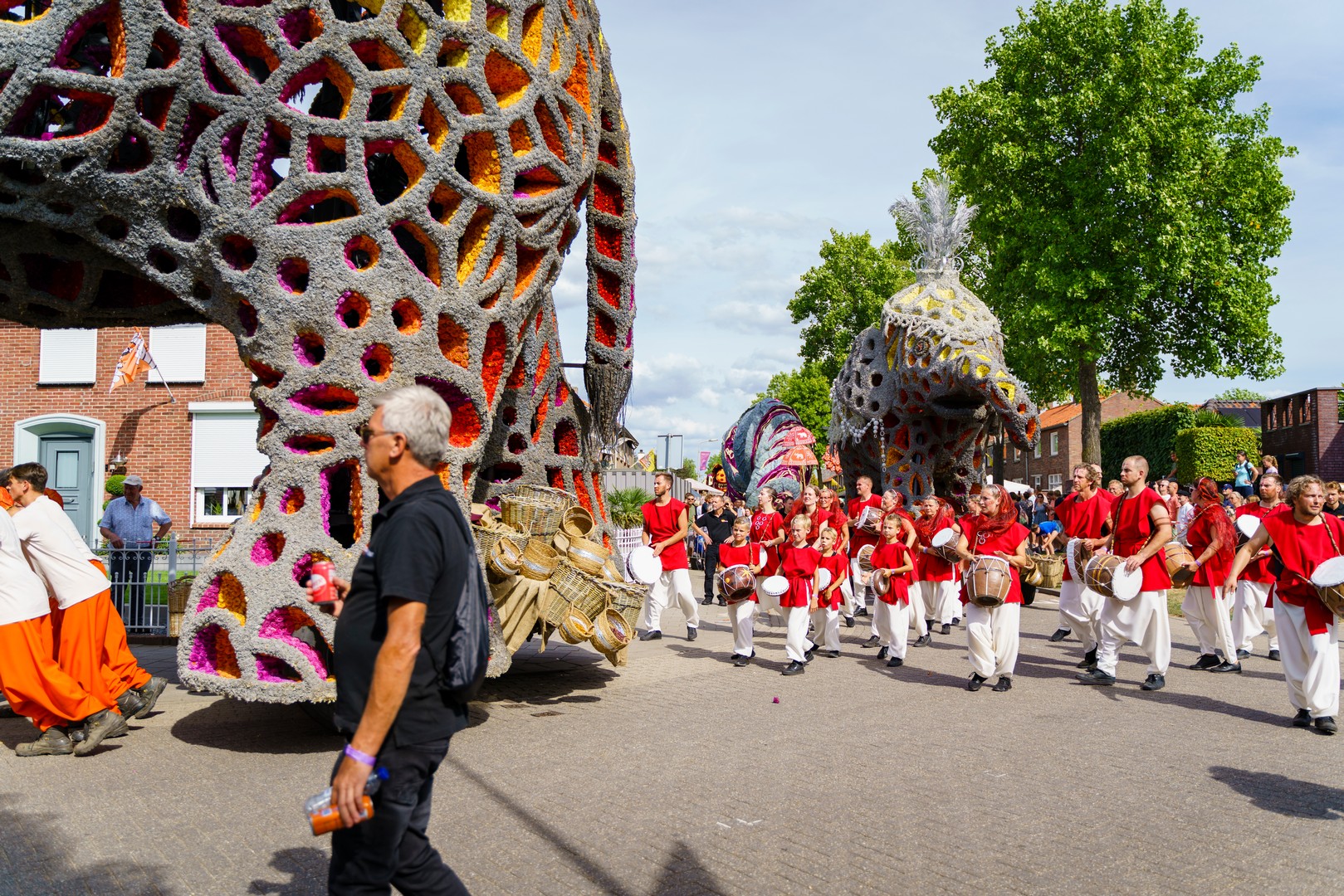 Holifant, Foto Eefje Poppe