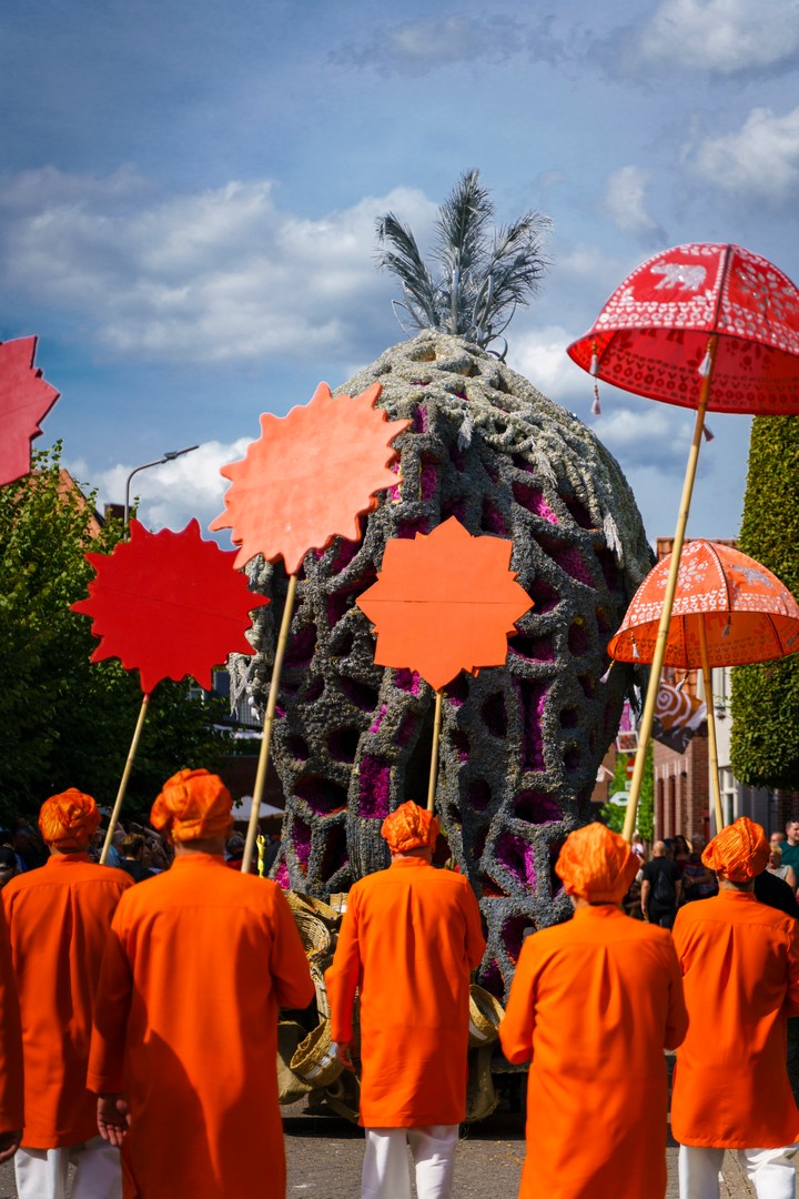 Holifant, Foto Eefje Poppe