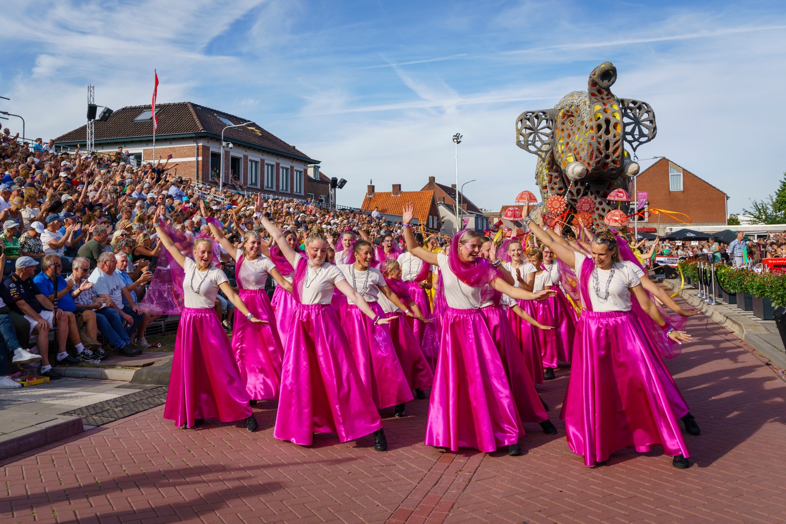 Holifant, Foto Eefje Poppe