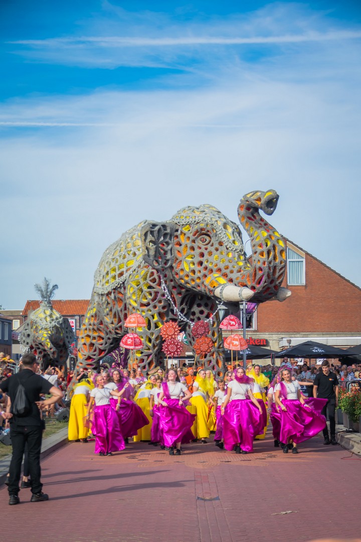 Holifant, Foto Charles van Campenhout