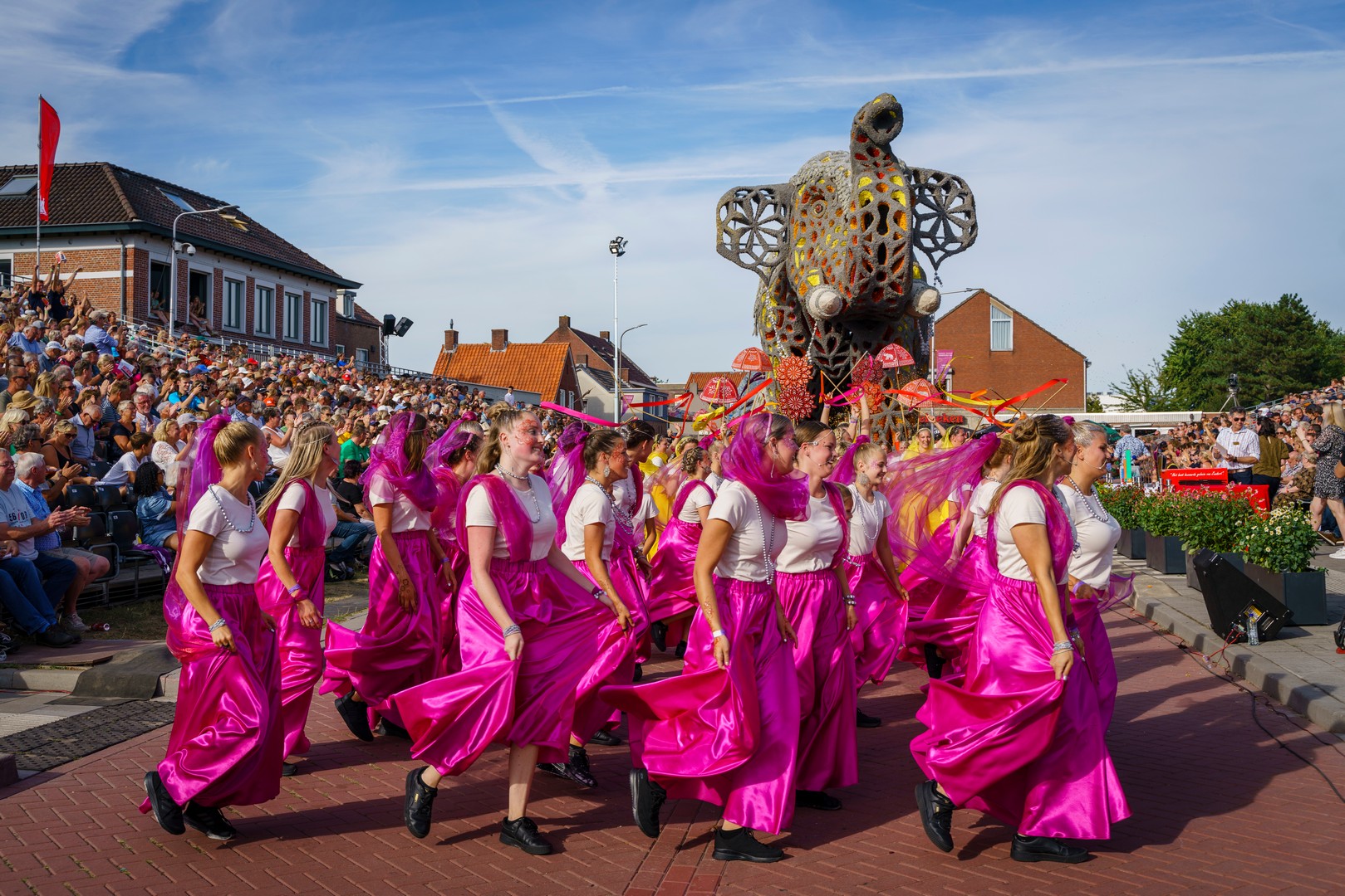 Holifant, Foto Eefje Poppe