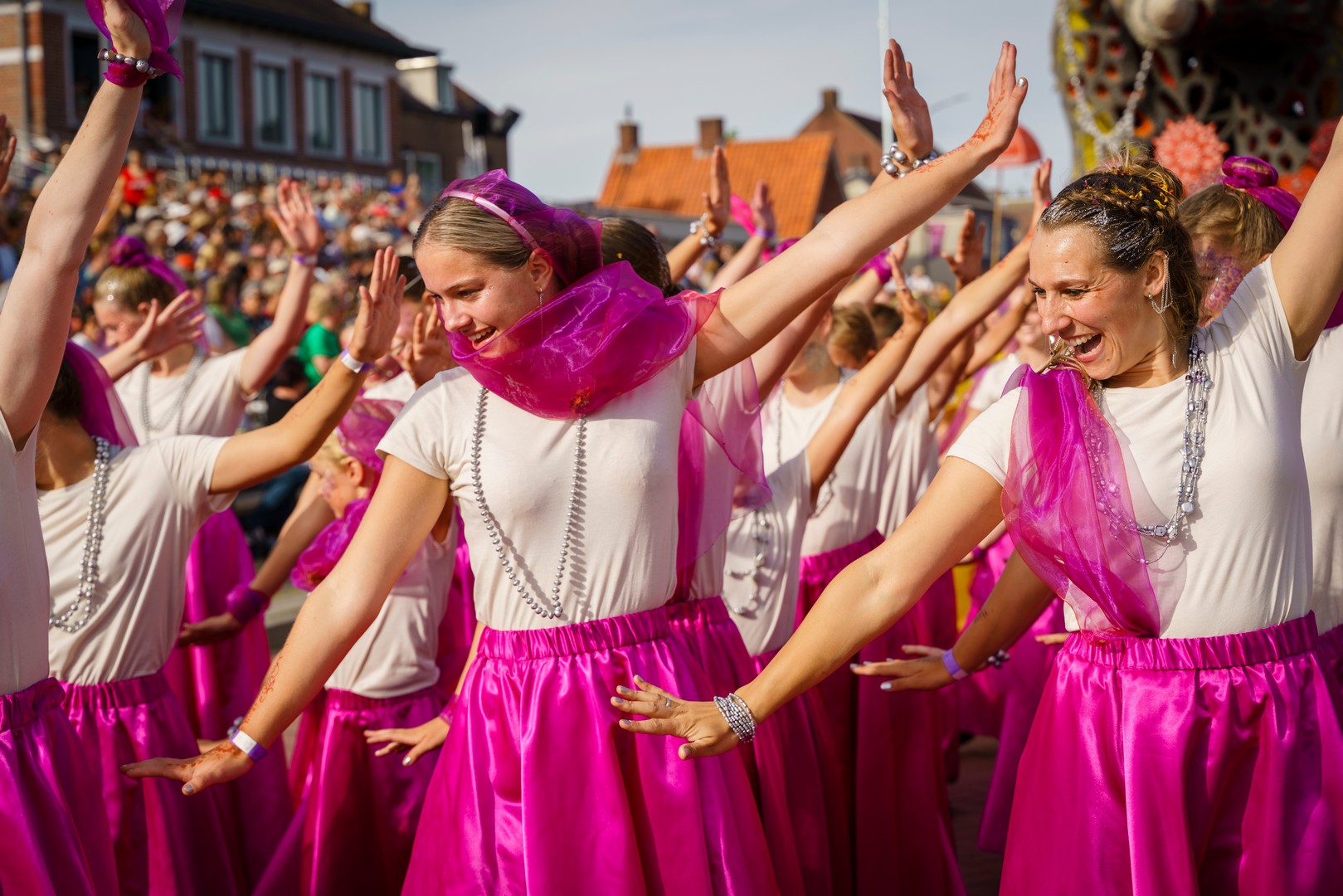 Holifant, Foto Eefje Poppe