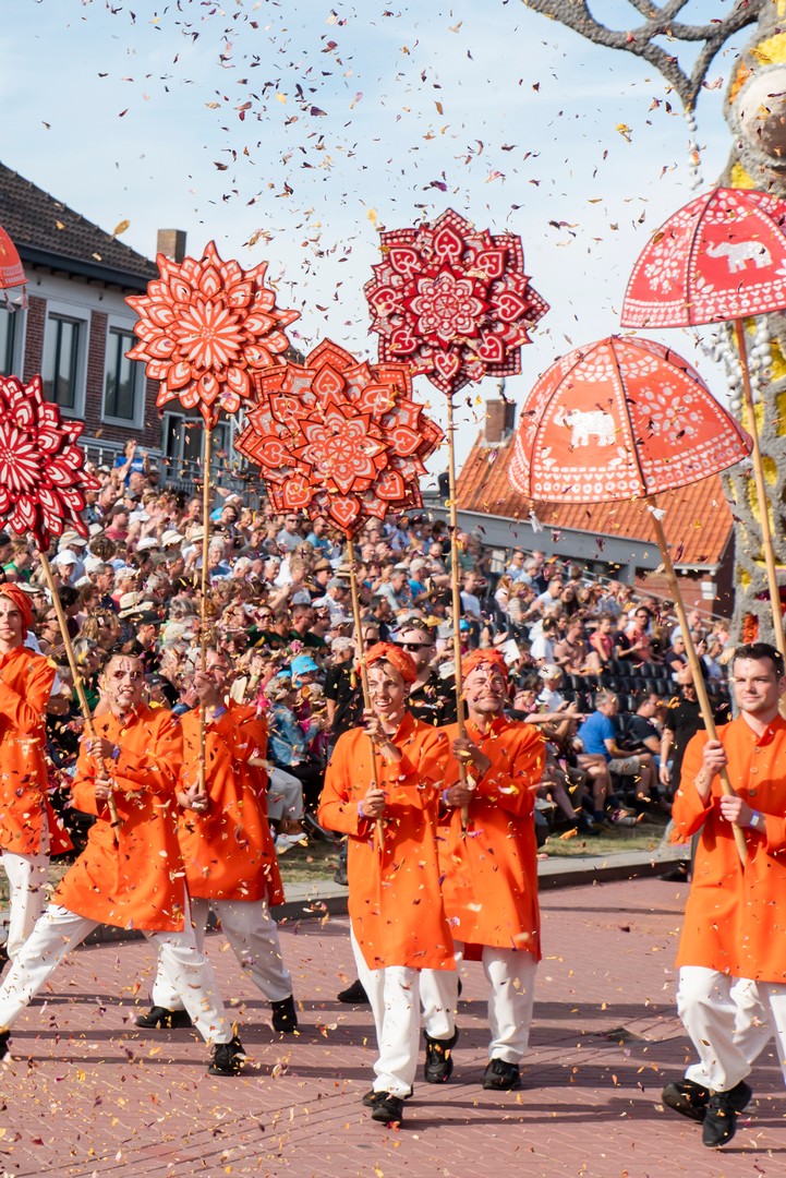Holifant, Foto Luzanne foesenek