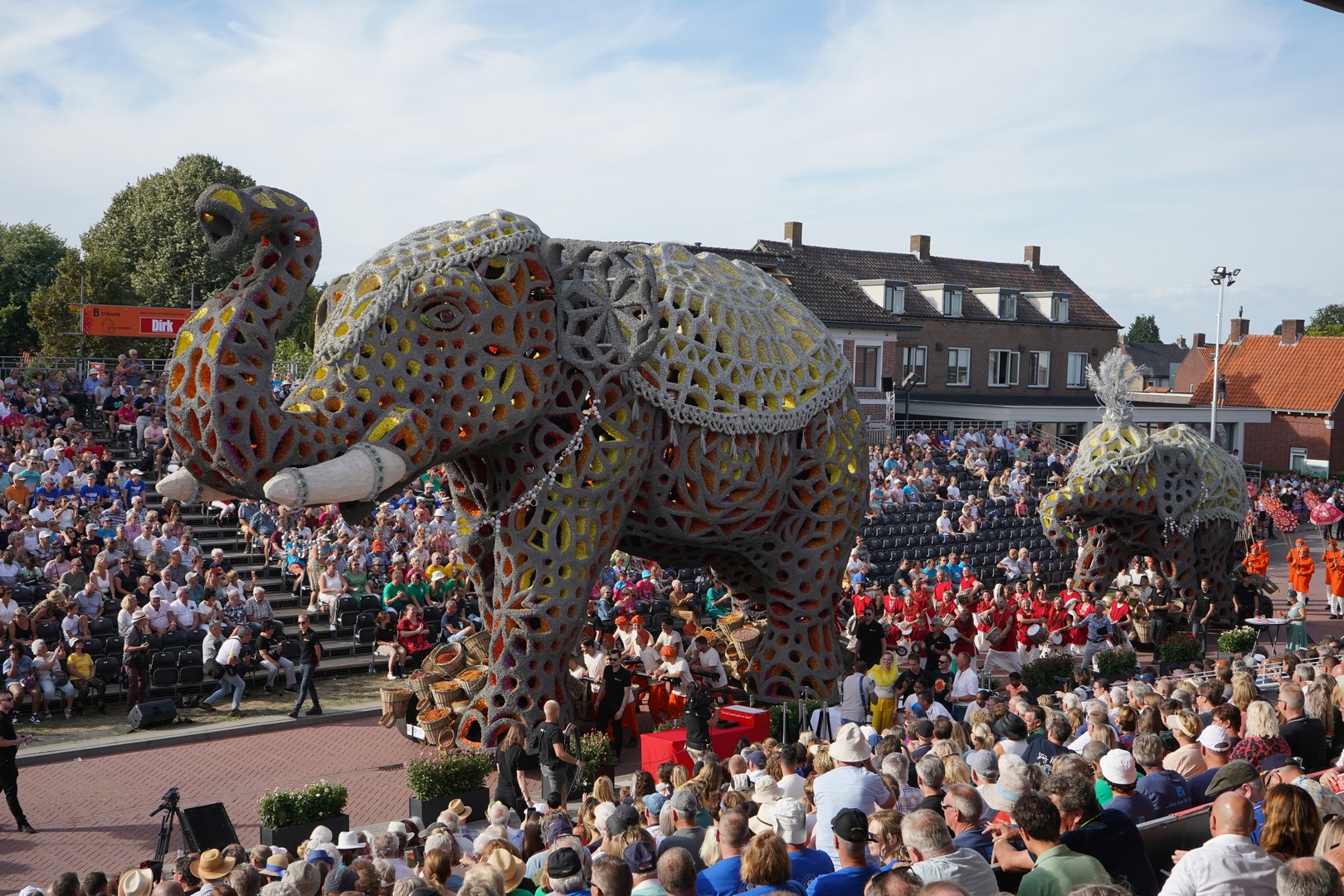 Holifant, Foto Ad van de Kieboom