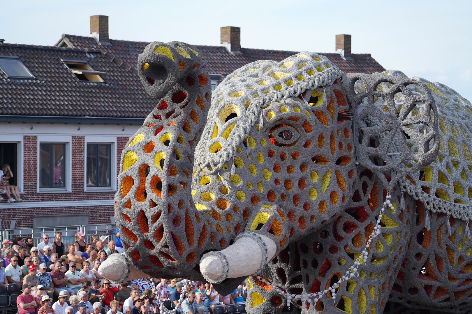 Holifant, Foto Sander Vlug