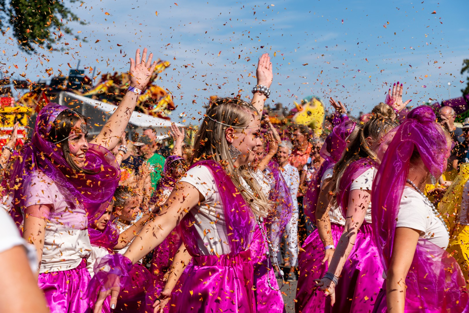 Holifant, Foto Eefje Poppe