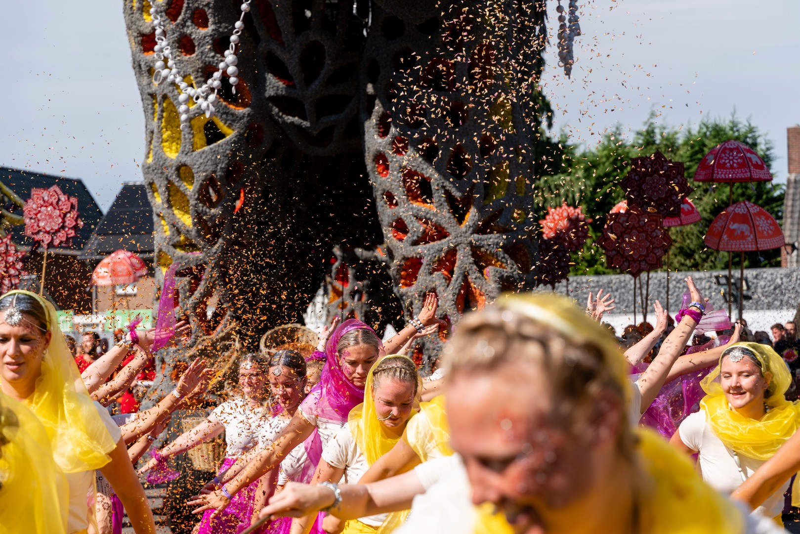 Holifant, Foto Eefje Poppe