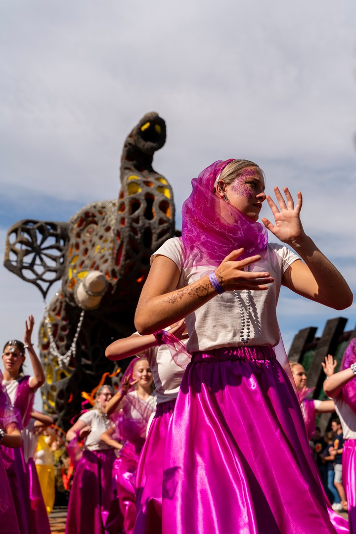 Holifant, Foto Eefje Poppe