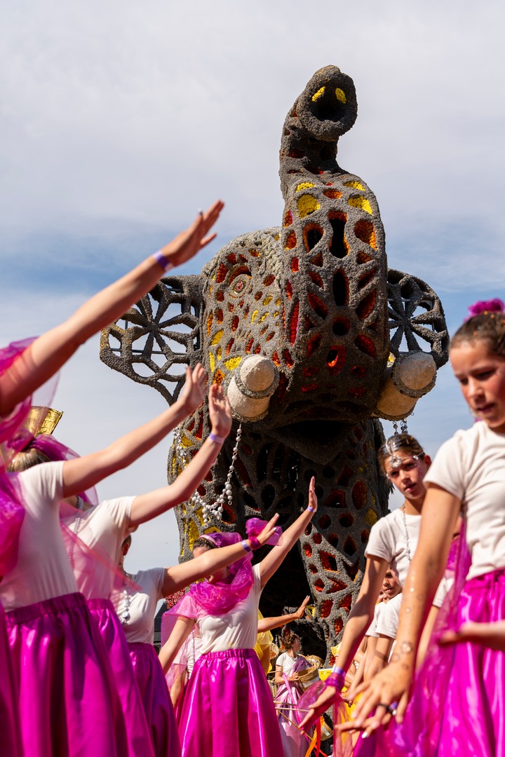 Holifant, Foto Eefje Poppe