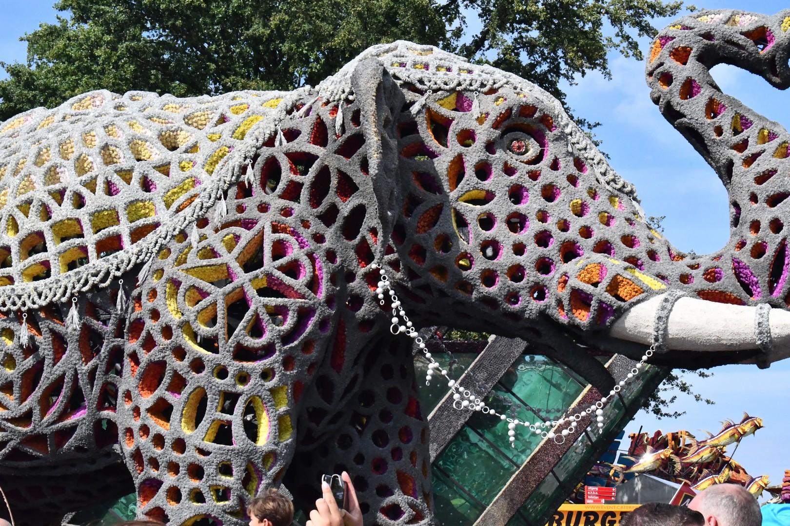 Holifant, Foto Joeri Sannen