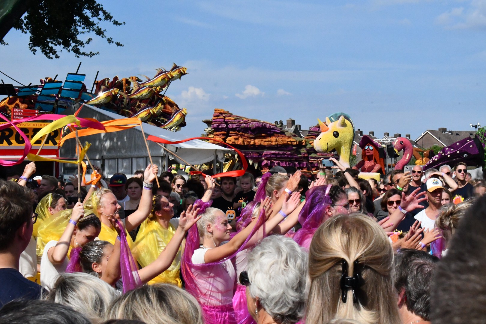 Holifant, Foto Joeri Sannen