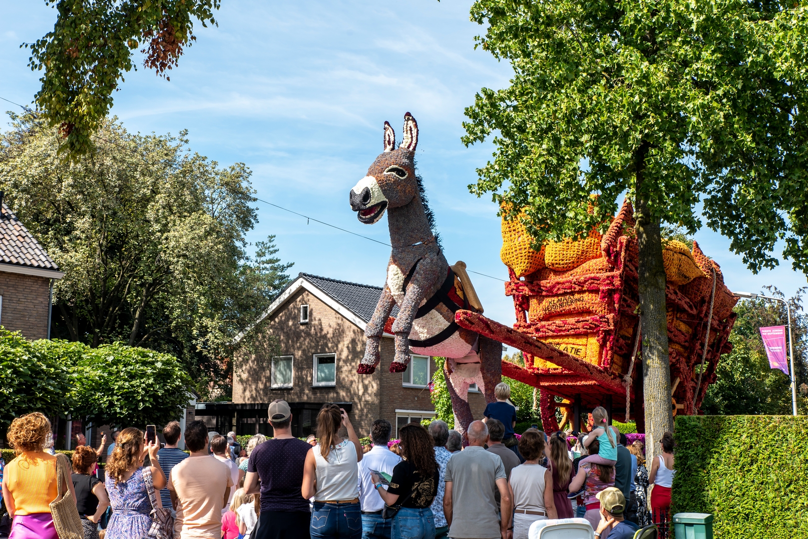 Zware last, Foto Luzanne Foesenek