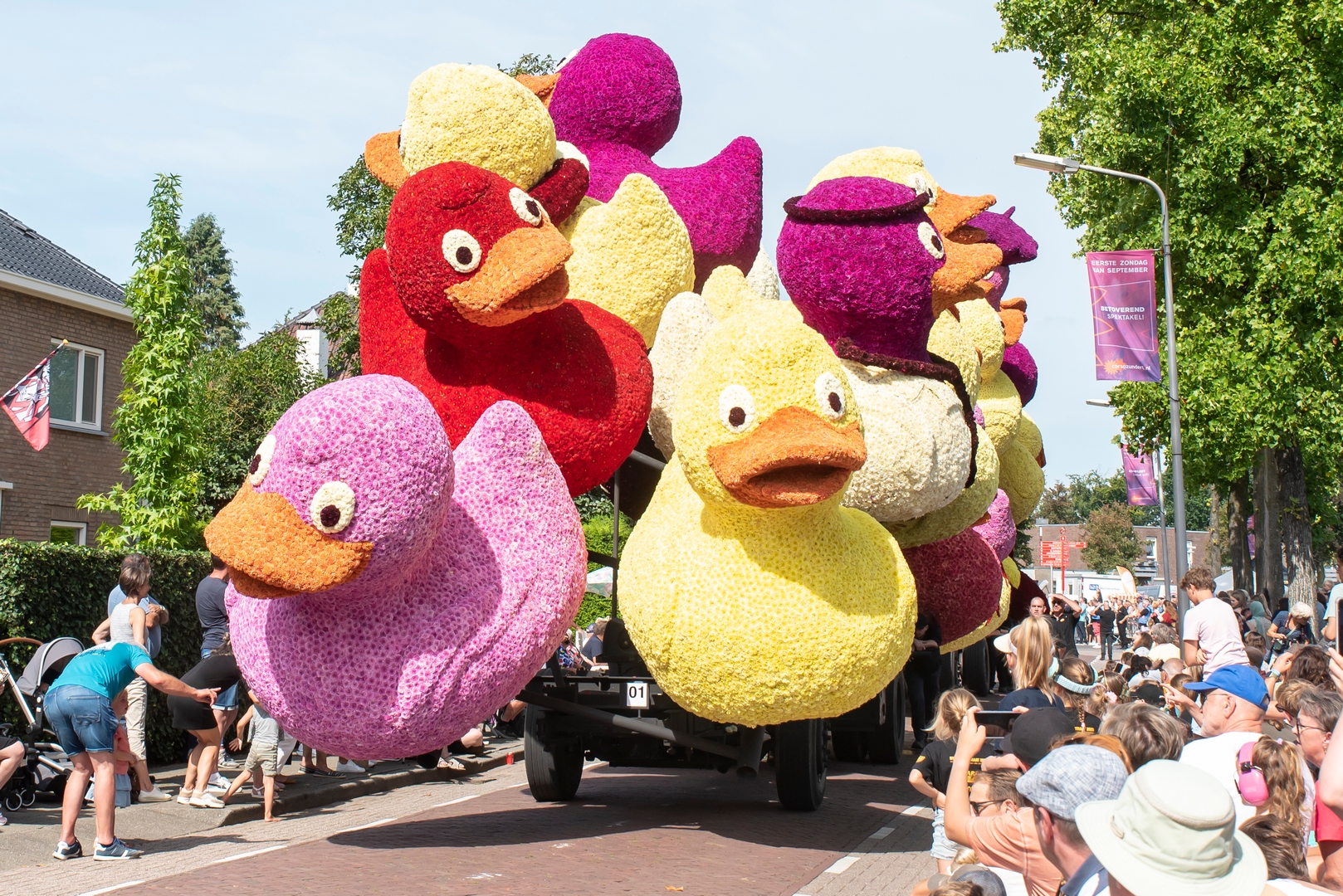 Dobberen, Foto Luzanne Foesenek
