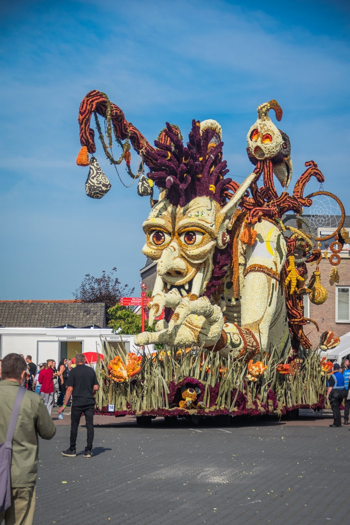 Betoverd, Foto Charles van Campenhout