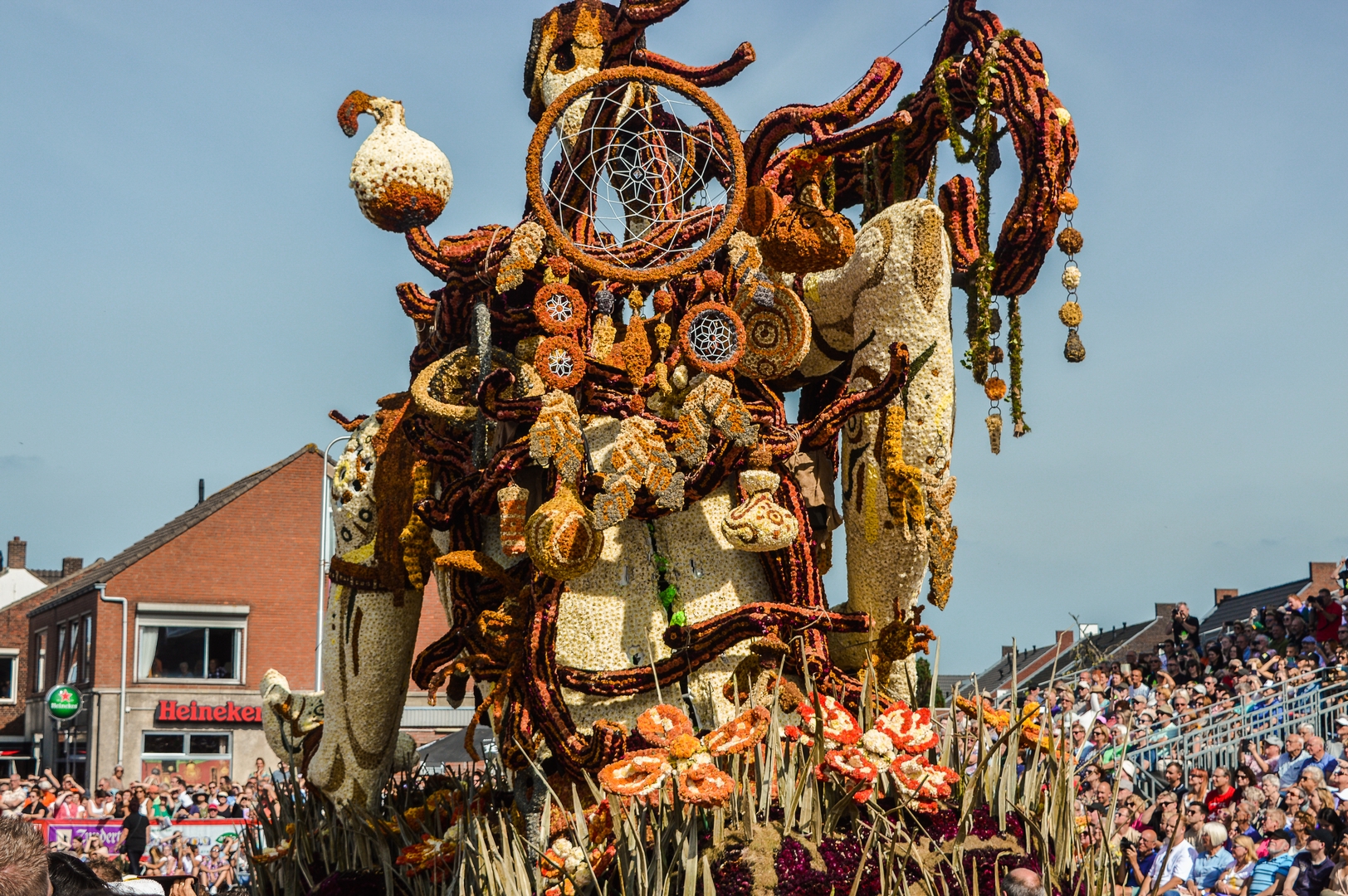 Betoverd, Foto Joeri Sannen