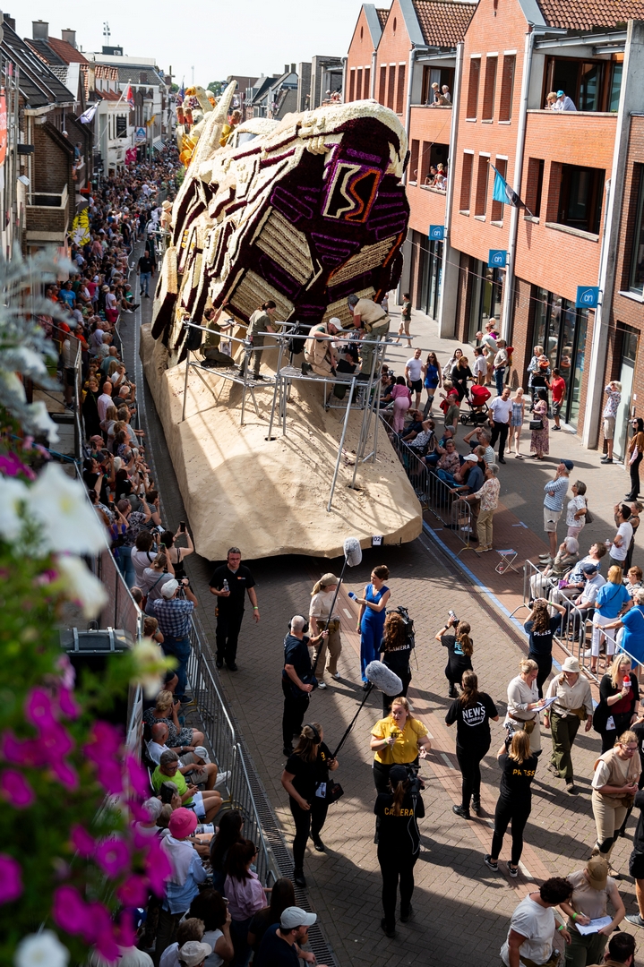 Vondst!, Foto José van Trijp fotografie