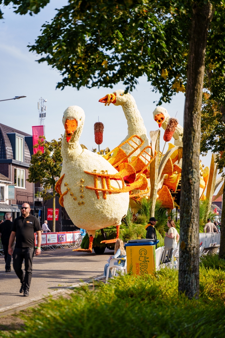De Ganzenpas, Foto Eefje fotografie