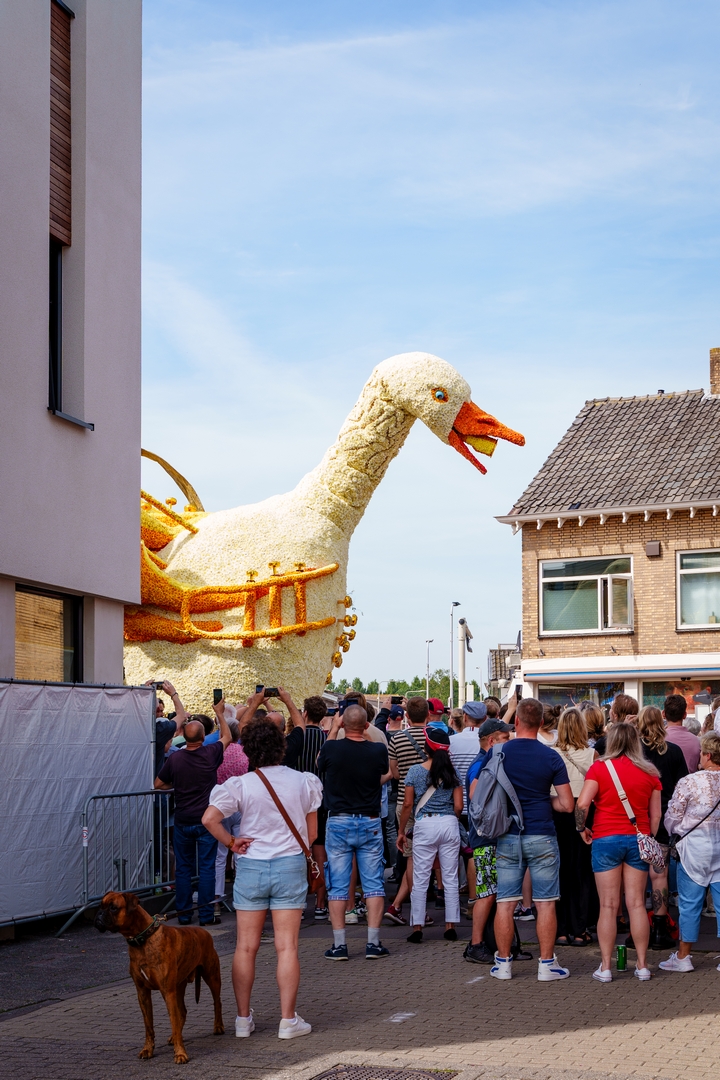 De Ganzenpas, Foto Eefje fotografie