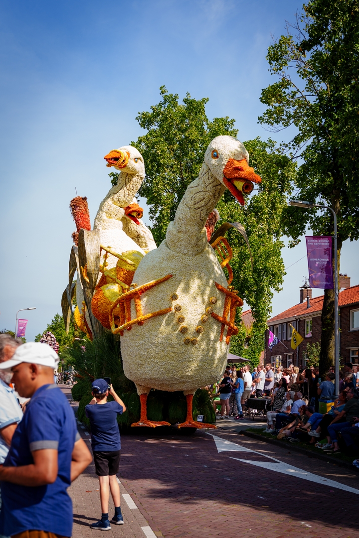 De Ganzenpas, Foto Eefje fotografie