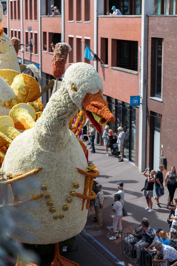 De Ganzenpas, Foto José van Trijp fotografie