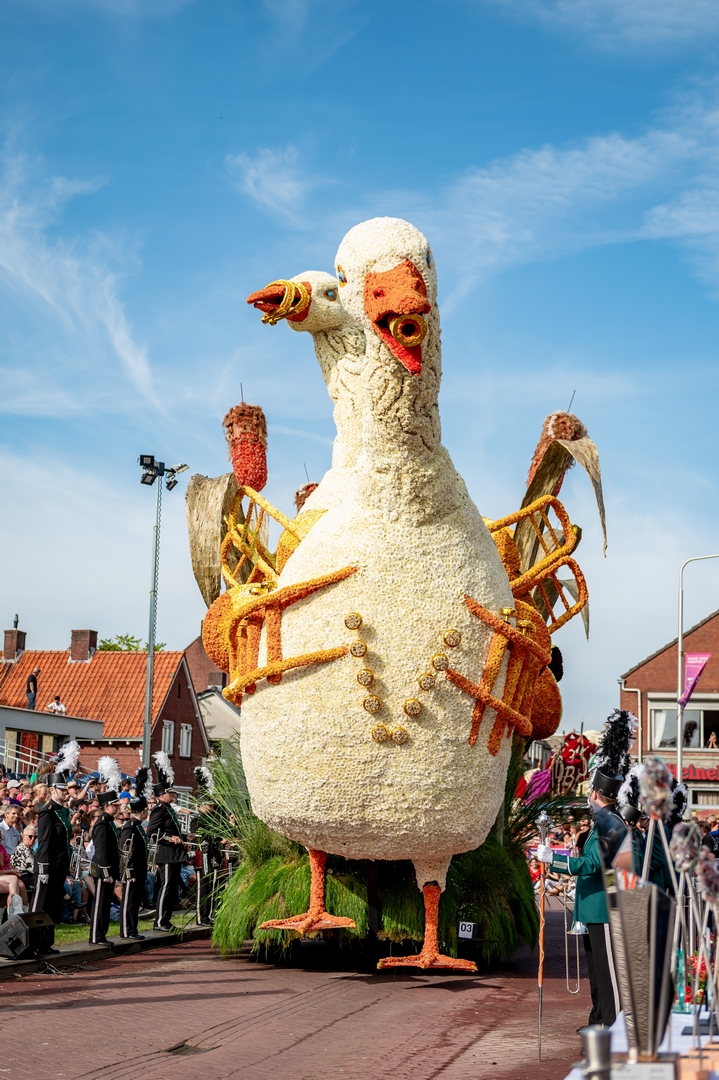 De Ganzenpas, Foto José van Trijp fotografie
